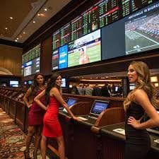 pubet Live Baccarat Dragon Tiger ဘက်ကာရက် တိုက်ရိုက်ကာစီနိုဂိမ်းများ